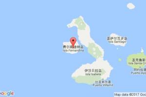 費(fèi)南迪納港口查詢_fernandina港口代碼_美國費(fèi)南迪納港口代碼